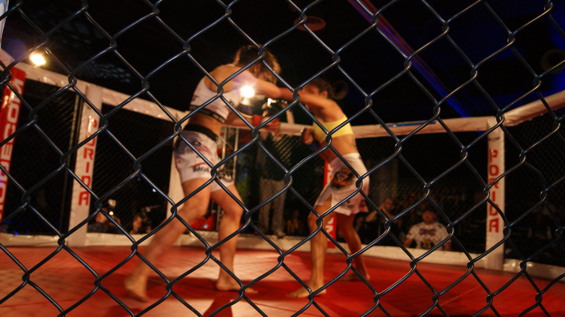 Gala-Warriors-Arena-MMA (238).JPG