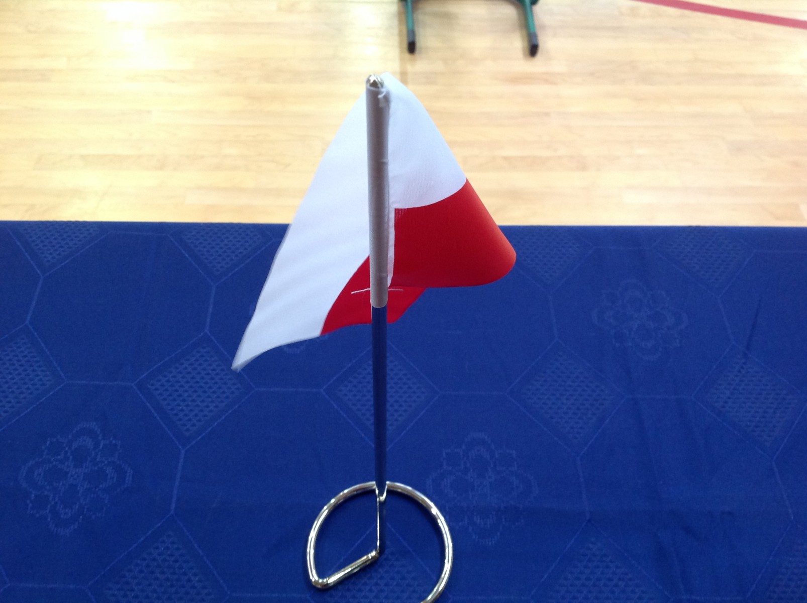 Mistrzostwa-Europy-Sumo-Warszawa2014 (19).jpeg