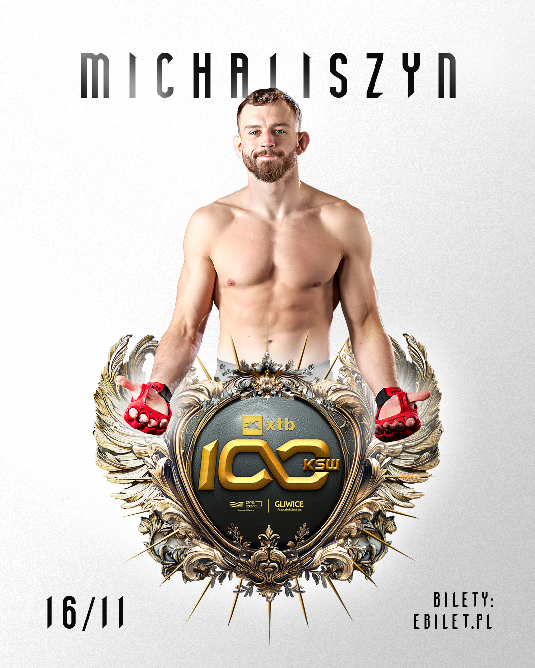 KSW 100 Michaliszyn Fleminas