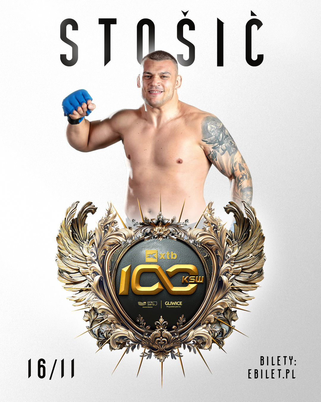 KSW 100 De Fries Stosic