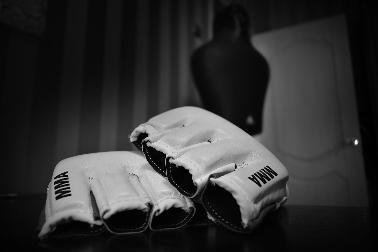 Największa gala MMA w Polsce – najważniejsze informacje o KSW 117